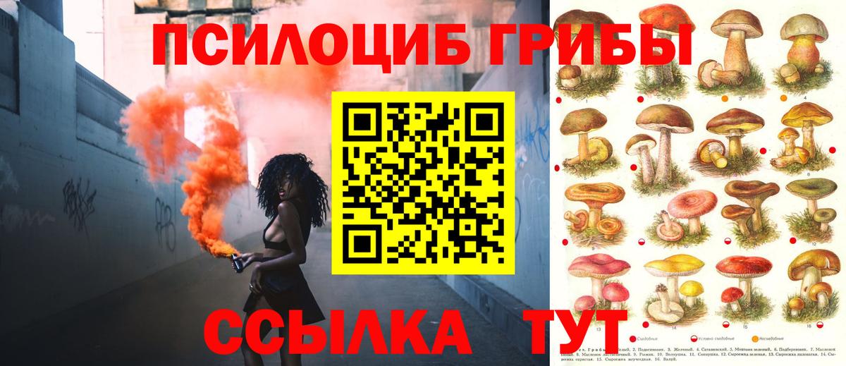 Купить наркотик  Каннабис  Пыть-Ях  Вход с VPN  ЭКСТАЗИ  ГАШ  МЕФ   Альфа ПВП СОЛЬ кристаллы 