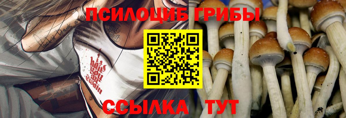 Галлюциногенные грибы Psilocybine cubensis  Вход с VPN  Псилоцибиновые грибы Psilocybe  Пыть-Ях 