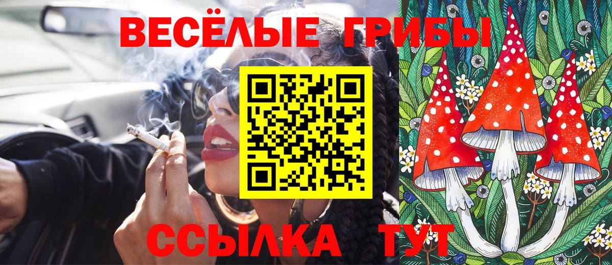 Псилоцибиновые грибы Psilocybine cubensis Пыть-Ях